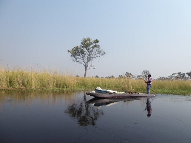 POR ZIMBABWE Y BOTSWANA, DE NOVATOS EN EL AFRICA AUSTRAL - Blogs de Africa Sur - Traslado a Maun. Nos adentramos en el Delta del Okavango (14)