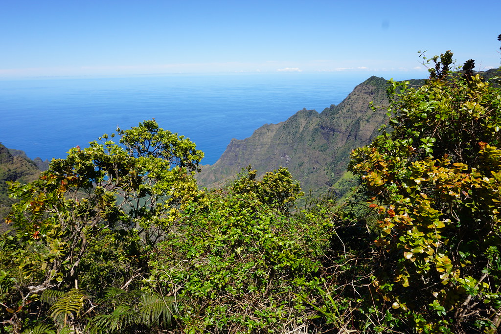 Kauai 2019