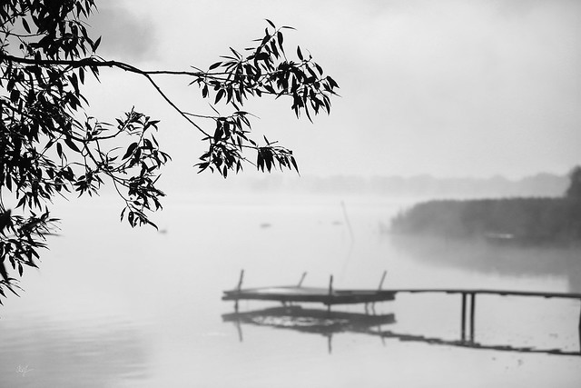 a misty morning somewhere on the Volga