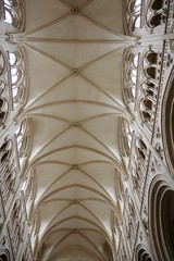 Perpendicular Gothic Ceiling