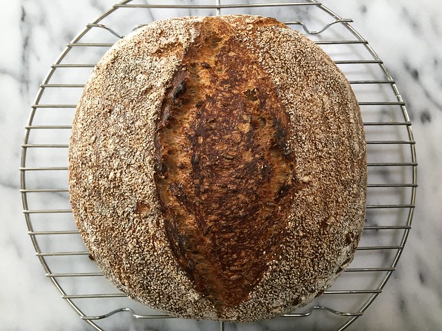 Sprouted Rye / Molasses