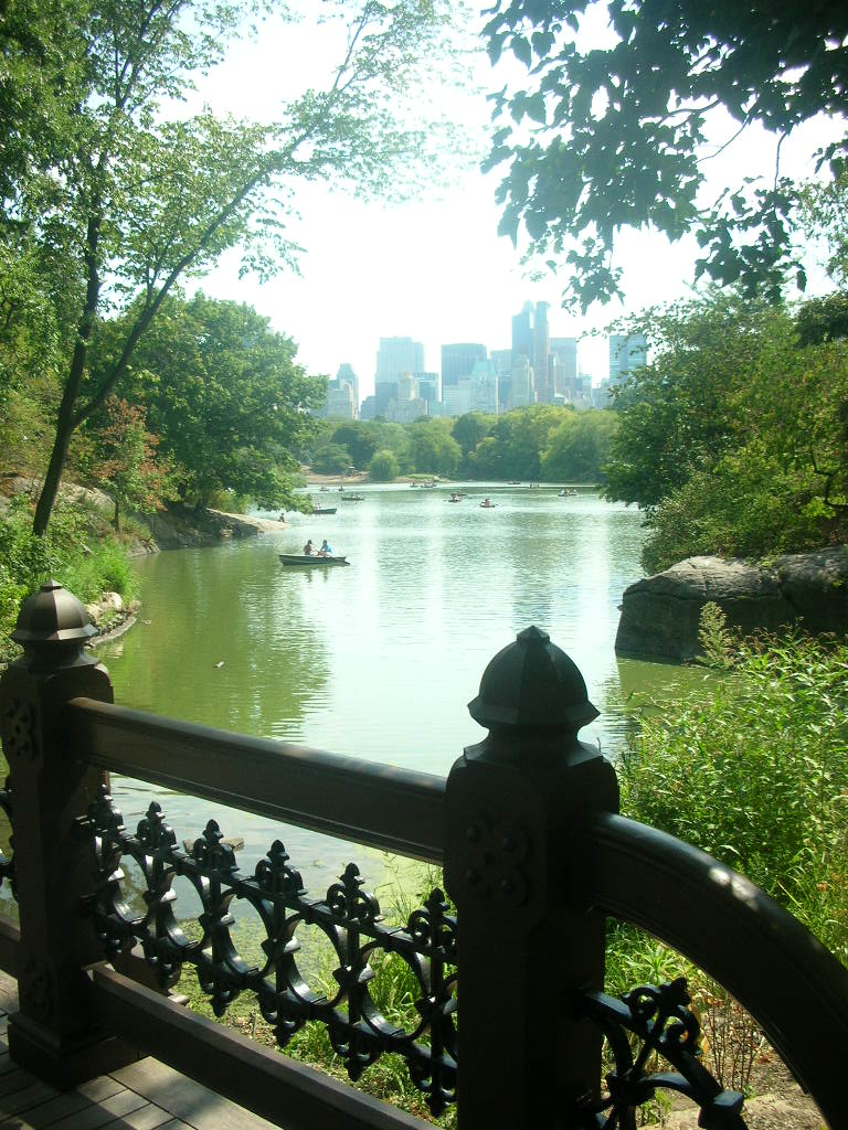 NY Central Park 15