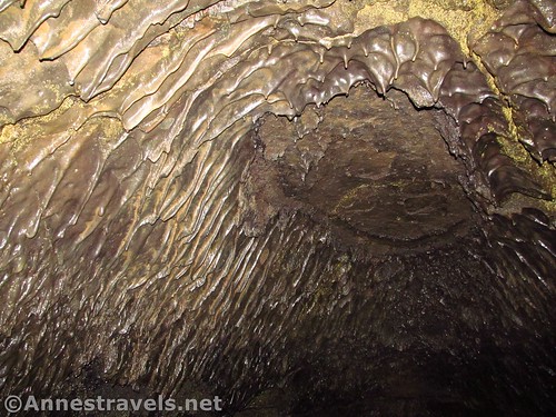 The ceiling of part of Hopkins Chocolate Cave in Lava Beds National Monument, California