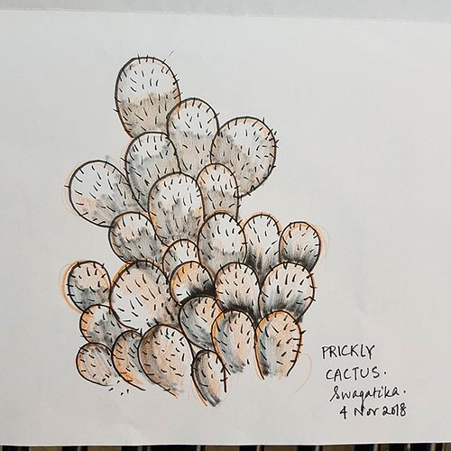 #prickly #cactus #inktober2018 #inktober