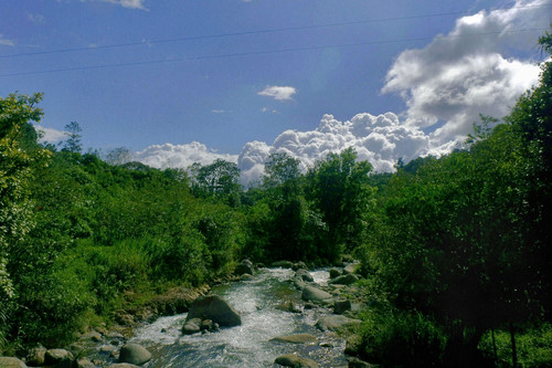 nwn sky river rio nubes clouds trees forest