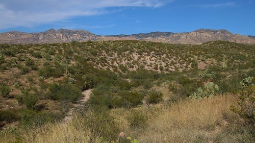 2016 arizona desert galiuromountains gps landscapes mountains panoramio pinalcounty sanpedrorivervalley usa unitedstatesofamerica