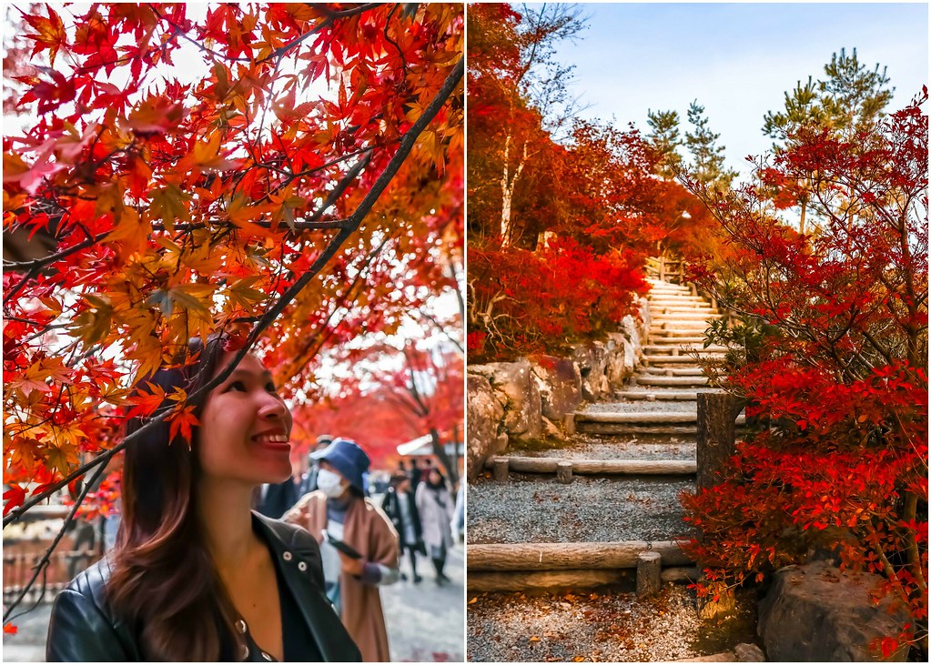 kyoto-tenryu-ji-temple-alexisjetsets