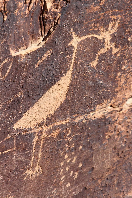 IMG_3551 Petroglyph at Puerco Pueblo, Petrified Forest National Park