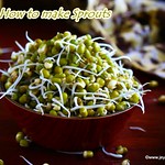 Home made sprouts