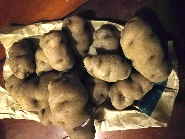 Saved tubers for summer