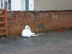 remains of the snowmen