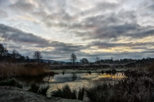 hdr winter frost cold water pond rushes trees sky sunrise clouds nature sundorne pentaxart pentax k70