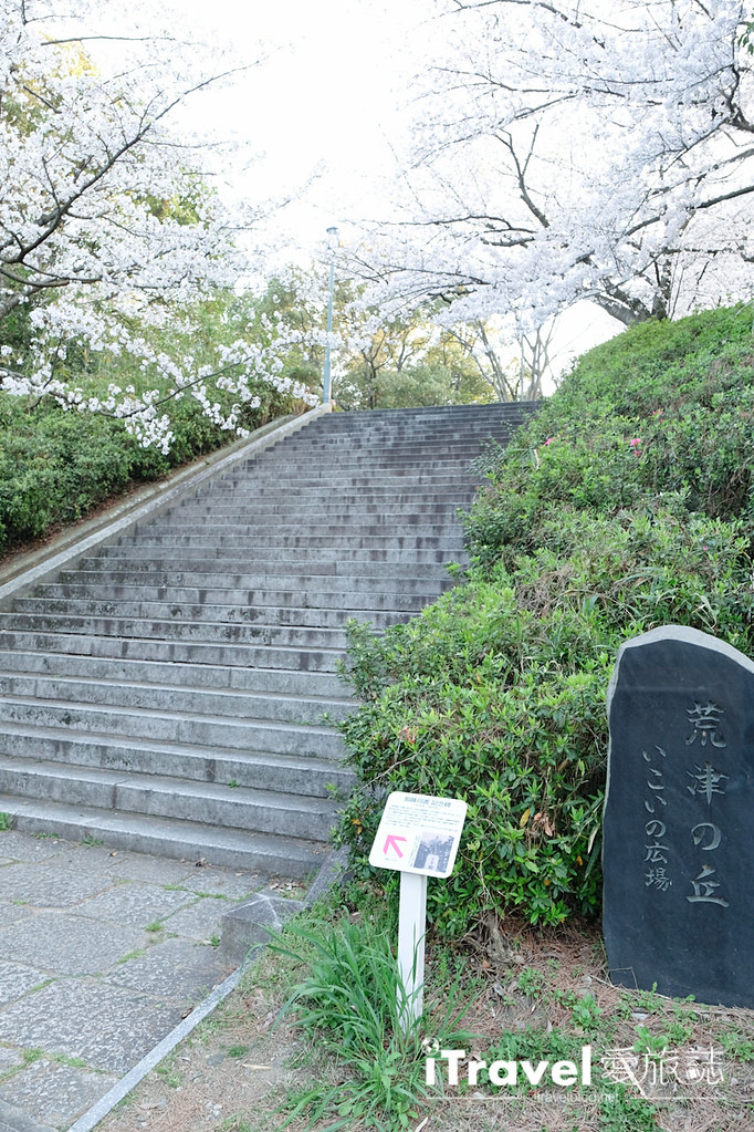 福冈赏樱景点 西公园Nishi Park (51)