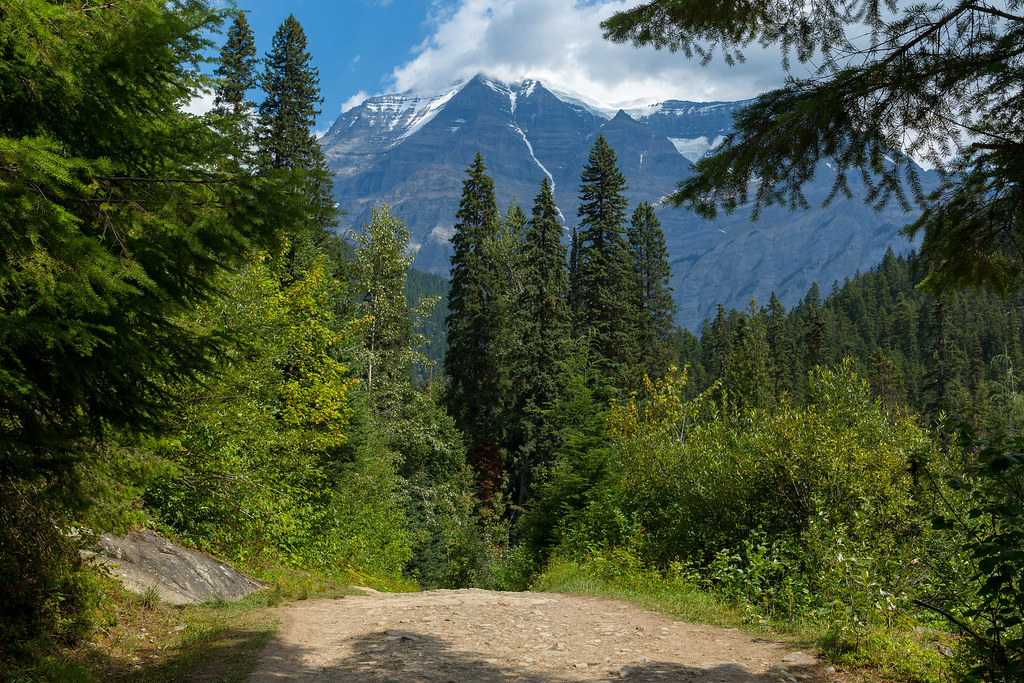 Berg Lake trail