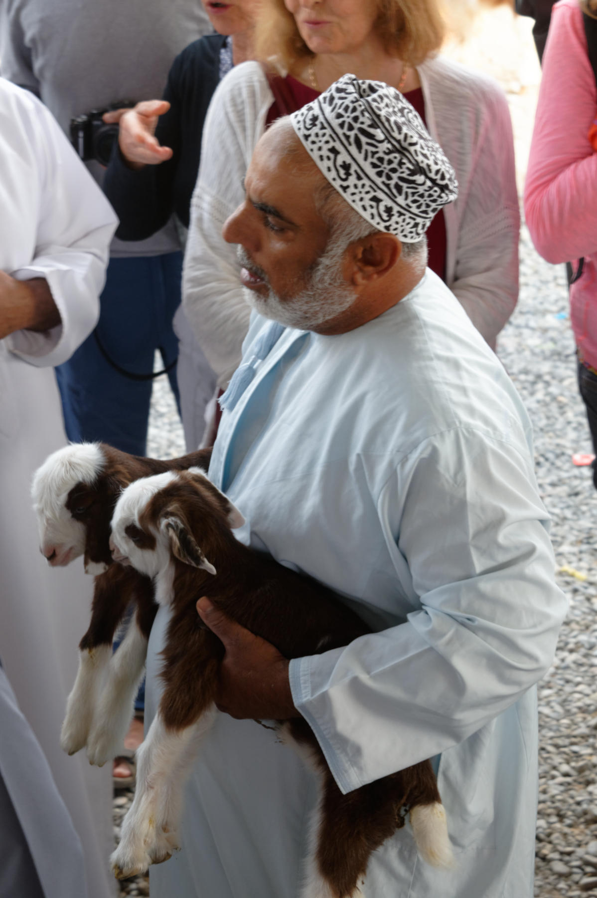Nizwa Cattle Market Scene, Oman