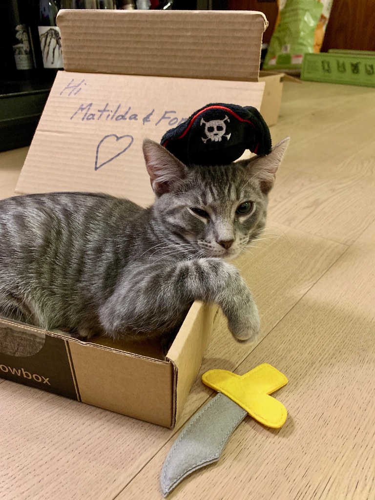 Fomo the Pirate
