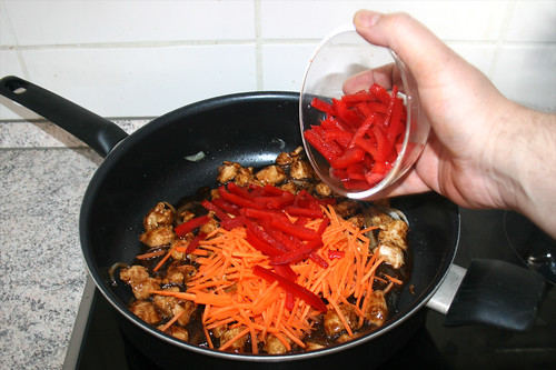 16 - Möhren & Paprika hinzufügen / Add carrots & bell pepper