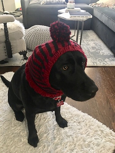 Natalie knit a snood for Maple
