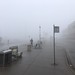 March fog Edmonton 2019
