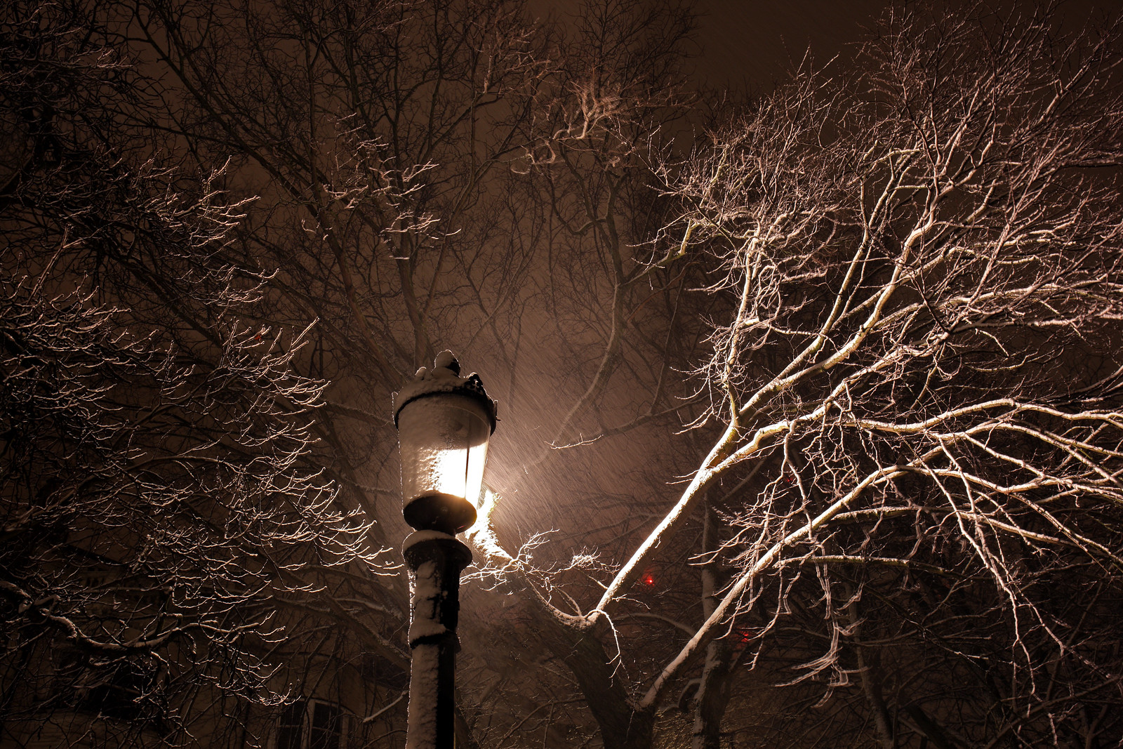 Snowy January Night, Brighton