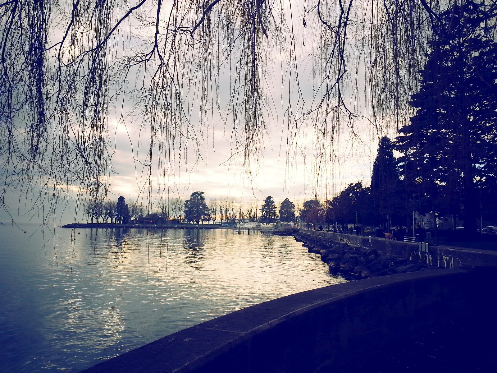 16-01-29 (Lausanne) On Lake Geneva.