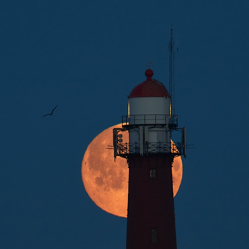 lighthouse harbour moon supermoon bird silhouette moonset earlymorning bluehour beforesunrise luckyshot canon 7dmarkii ef70200mmf4l ef2xiii netherlands ijmuiden