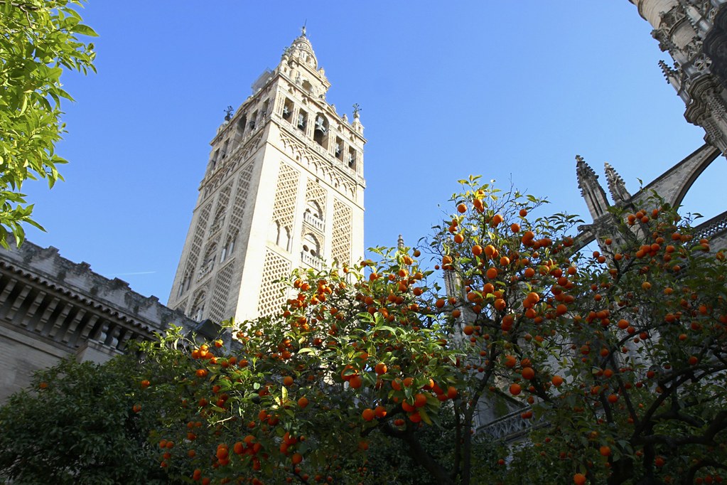 Sevilla, Sevillan katedraali, La Giralda ja Real Alcázar