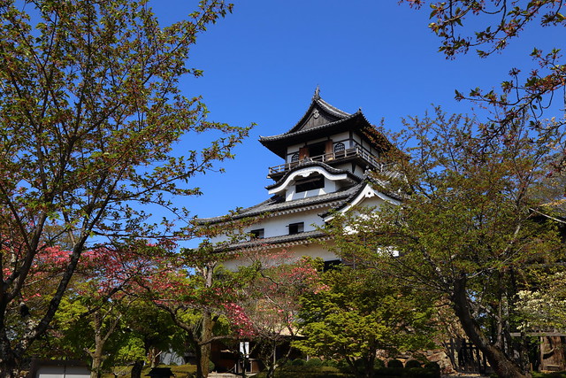 IMG_1277 Inuyama Castle