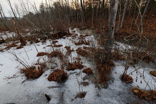 ultrawide wideangle wetland frozen winter ice ballstonlake saratogacounty newyork capitaldistrict nature earthy outdoor pentax pentaxart kp kmount sigma1020mmf456exdclens goldenhour 10mm