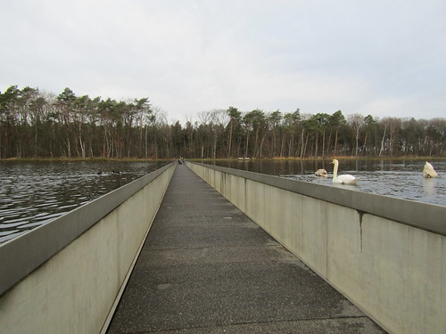 Cycle path through water in Bokrijk, Belgium