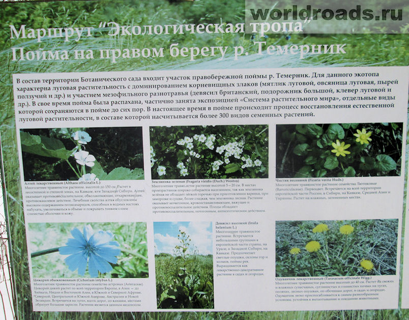 Ботанический сад Ростов