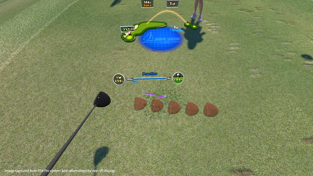 Everybody's Golf (PS VR)