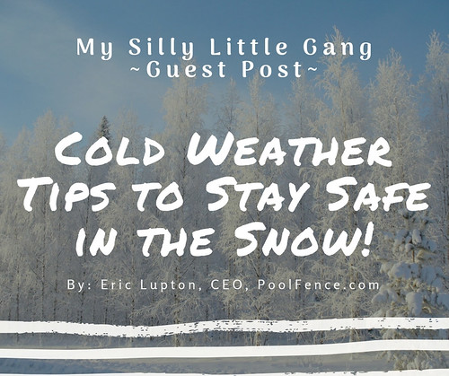 Cold Weather Tips to Stay Safe in the Snow ~ Guest Post