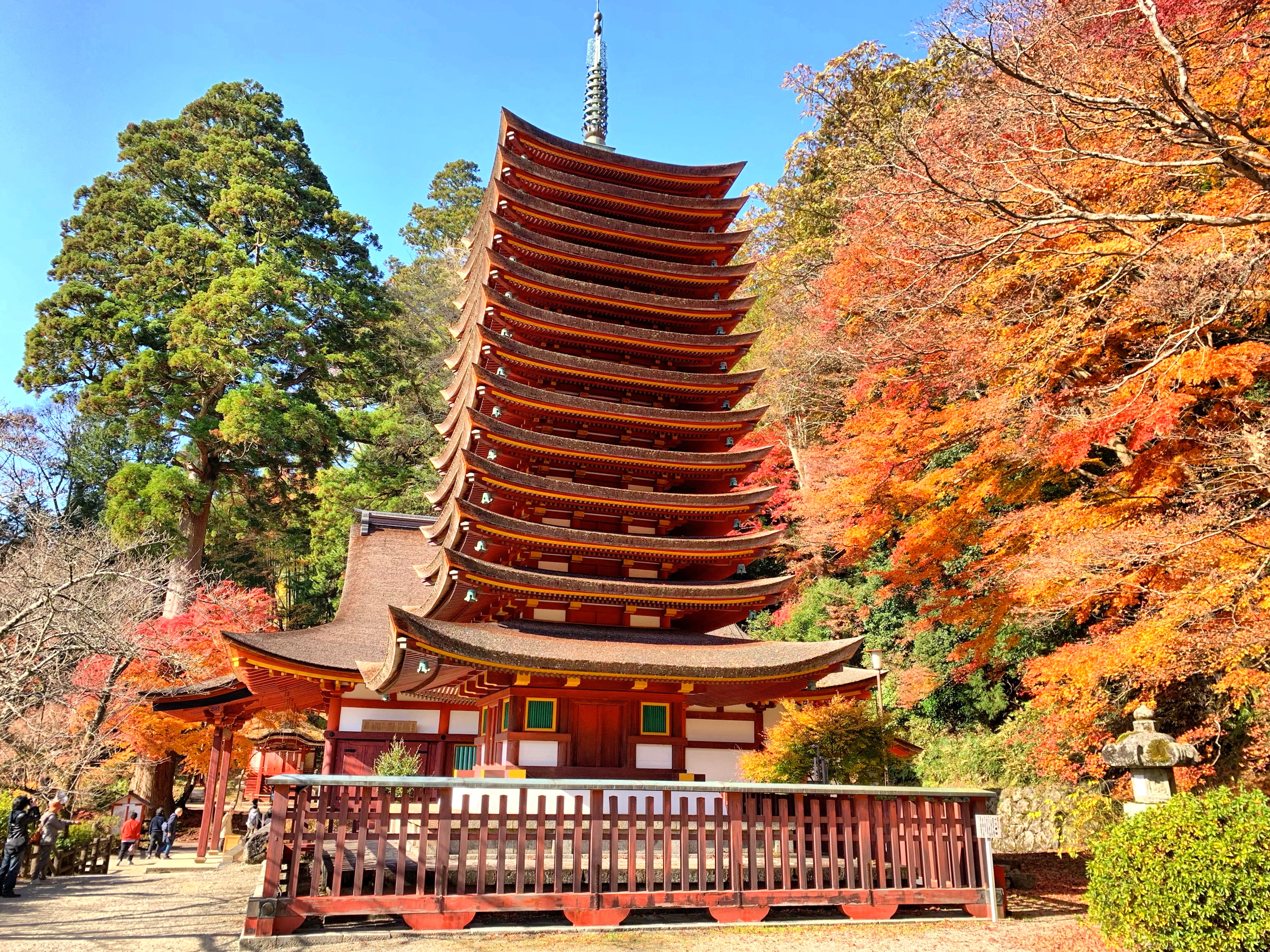 Nara, Japan 2018 6