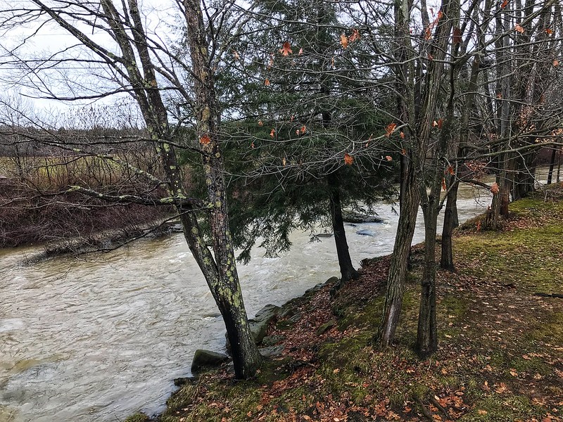 Stonycreek River or Stony Creek