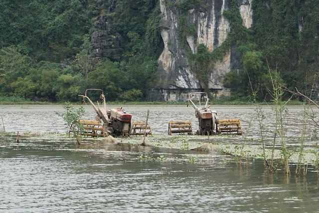 Más Tam Coc: recorrido en barca, Mua Cave y santuario de aves de Thung Nham - VIETNAM, TIERRA DE DRAGONES (11)