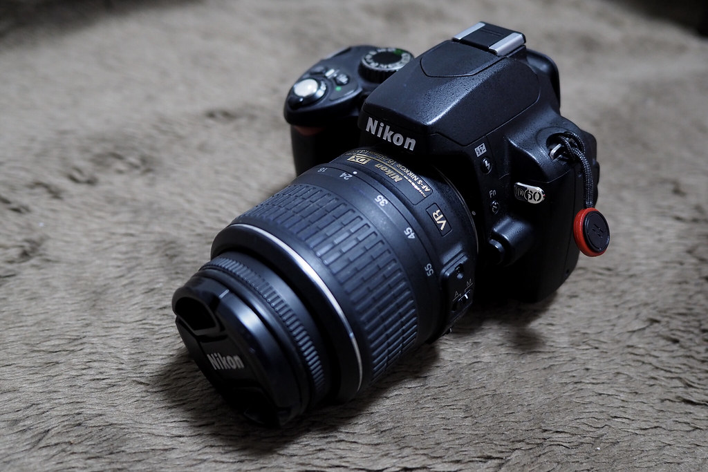 10年前のカメラを使う：Nikon D60 - Capture Kyoto
