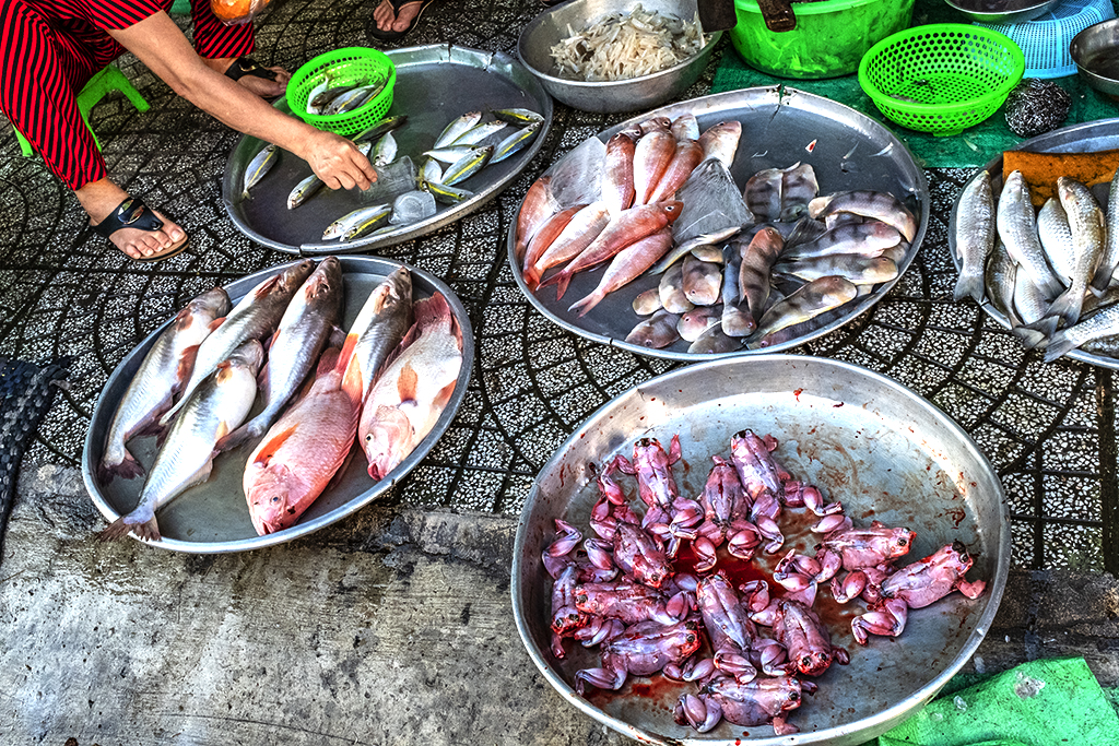 Phu Dinh Market on 2-21-19--Saigon 5
