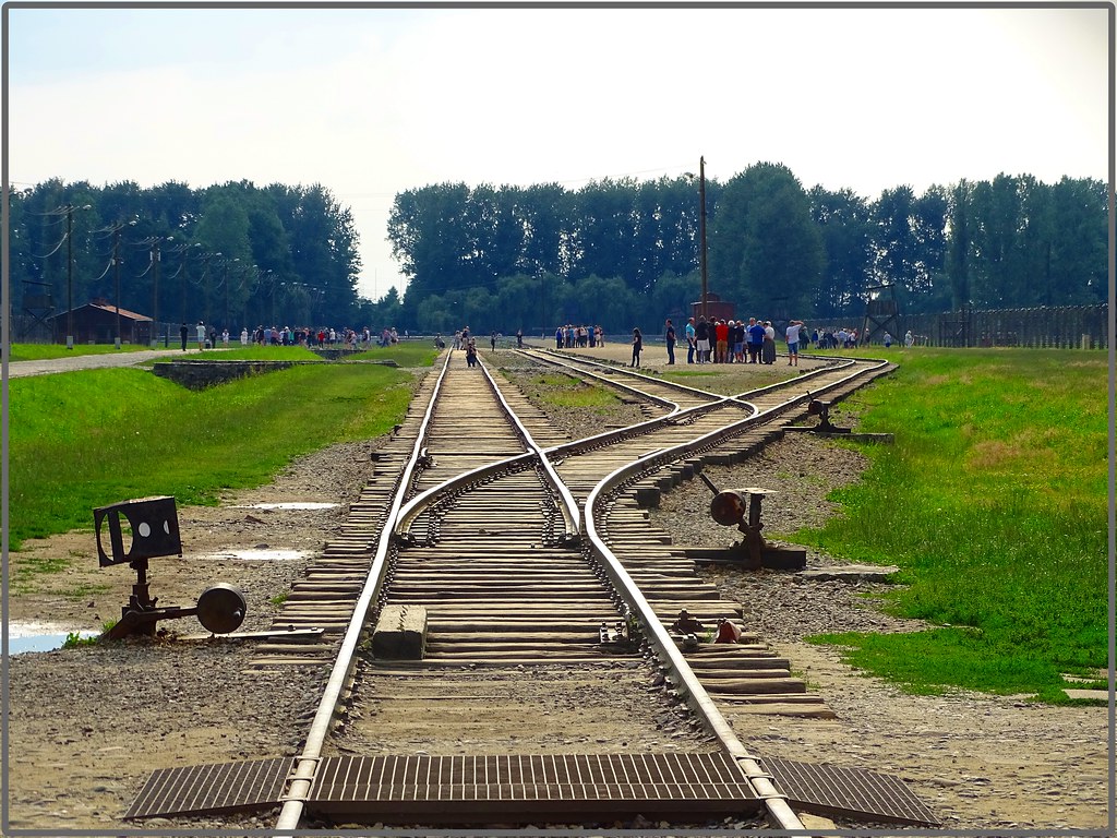 7 días en Polonia: Cracovia-Auschwitz-Tatras y Zakopane-Minas de Sal-Río Dunajec - Blogs de Polonia - Colina y Castillo de Wawel-Campo de concentración de Auschwitz (15)