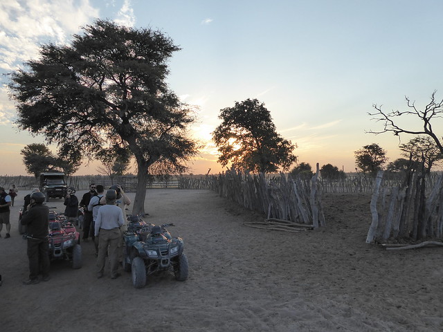 POR ZIMBABWE Y BOTSWANA, DE NOVATOS EN EL AFRICA AUSTRAL - Blogs de Africa Sur - Makgadikgadi Pans: entre boabads, suricatos y noche en Ntwetwe Pan. (38)