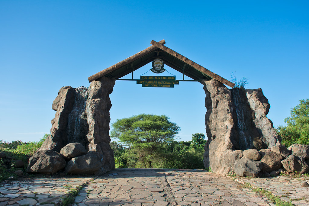 Northern Tanzania Safari Report