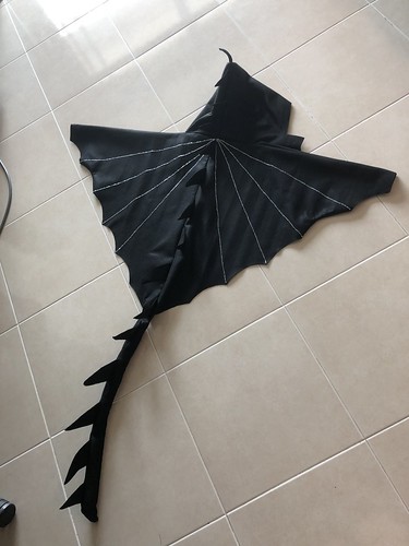 DIY dragon costume