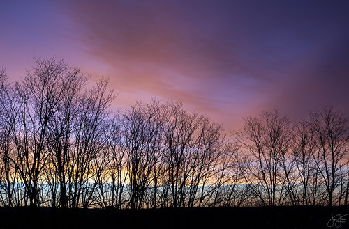 moning bell dawn daybreak colorful sky skies clouds under lighting trees