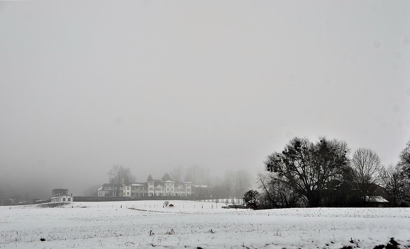 Castle Waldegg in snow and mist 02.02 (1)