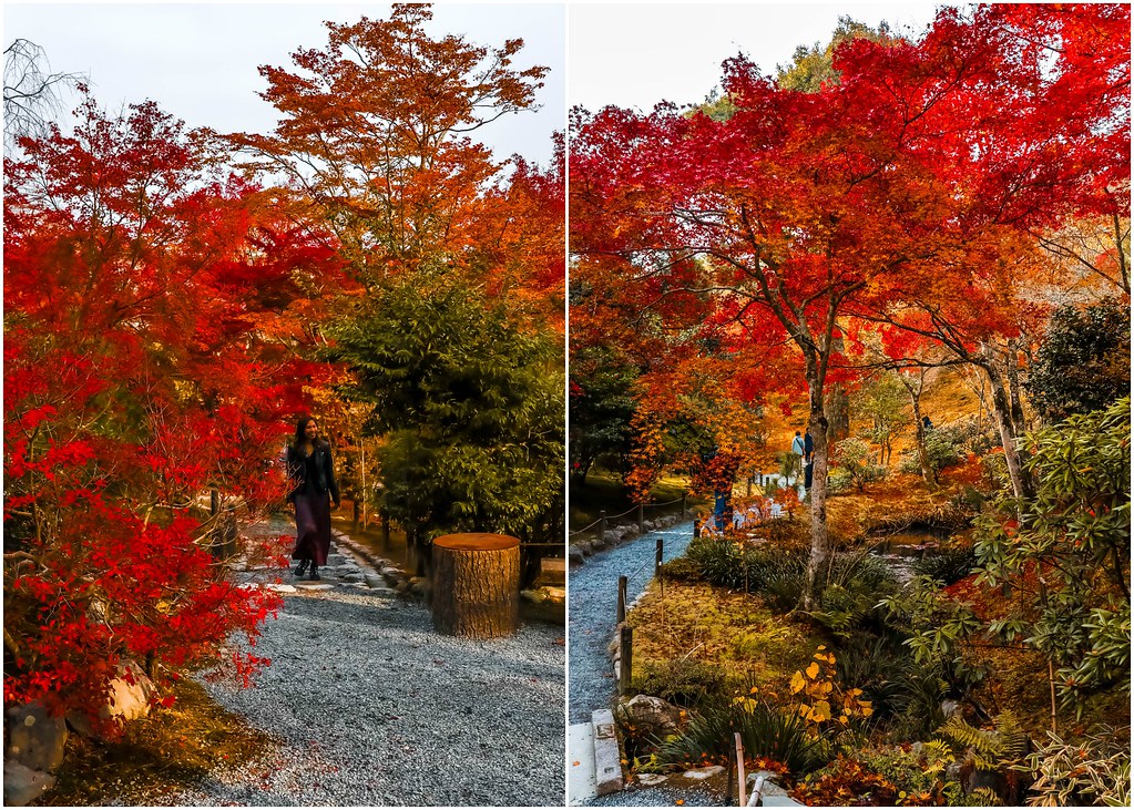 kyoto-tenryu-ji-temple-autumn-alexisjetsets