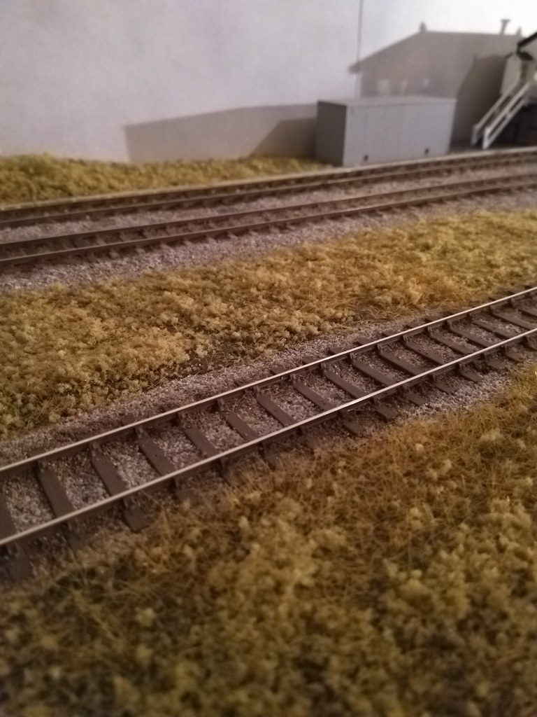Hornby coarse turf and Peco 6mm static grass combined together for the basic ground cover. Much work still to do with detailing.