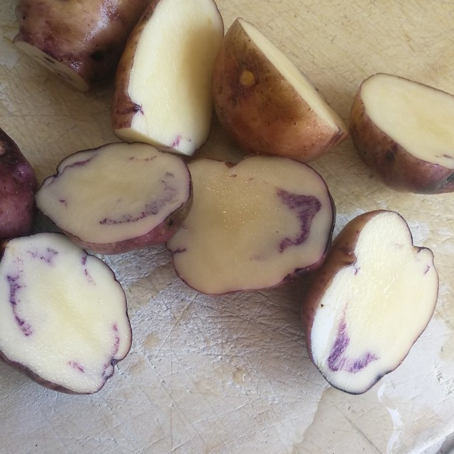 Whataroa potatoes (taewa)