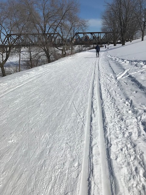 Perfect day to XC ski in Ottawa