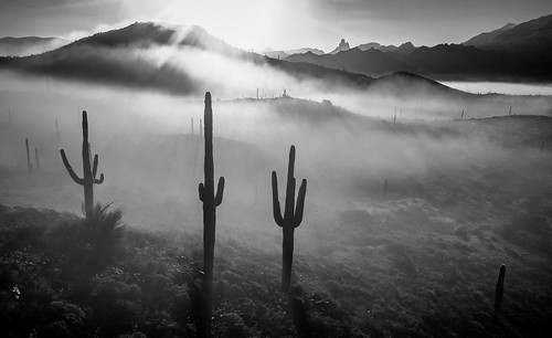 arizona cold fog snow sunrisemountain superstitionmountains things weather winter mesa unitedstatesofamerica us