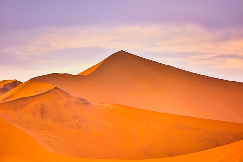 safari orange sky tree sanddune dunes dune sand nature landscape africa namibia desert namibdesert sossusvlei
